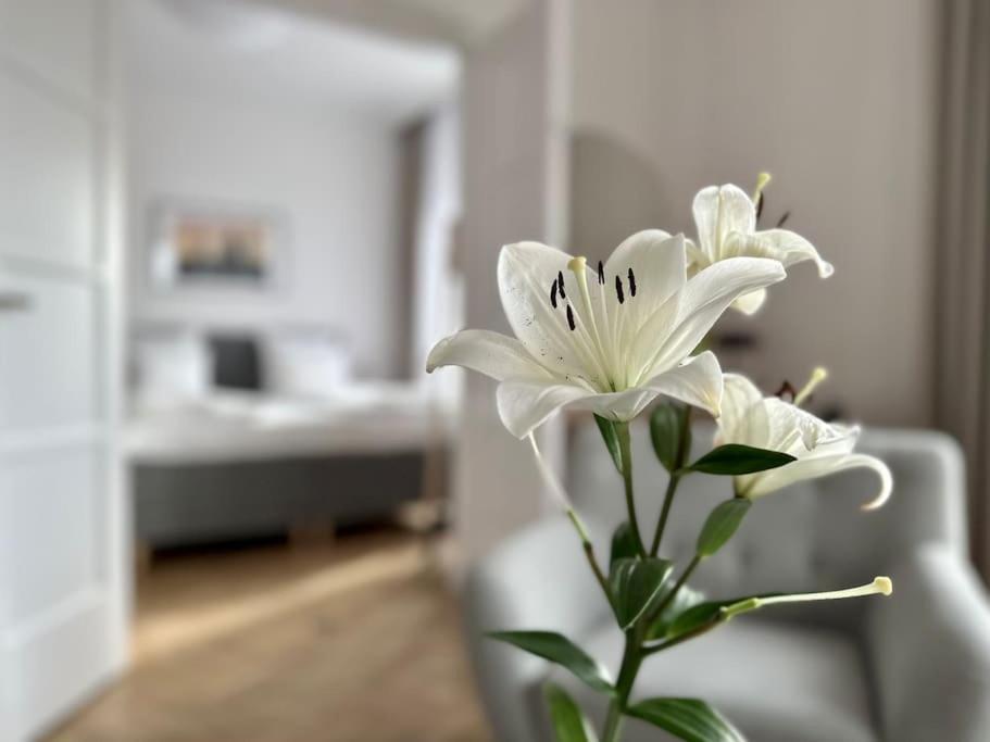Premium Apartment By Hi - Central 2 Bedroom - Best View Budapest Extérieur photo